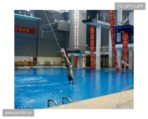 全红婵偷偷吃炸鸡被教练抓包，下一秒直接跳水池里清醒一下